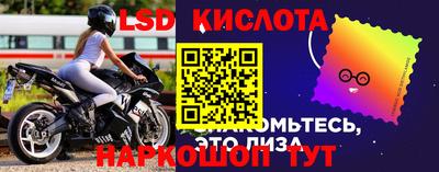 шишки Балахна