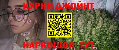 не бодяженный Гай