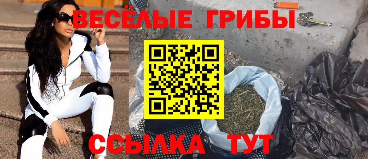 Псилоцибиновые грибы мухоморы Тверь