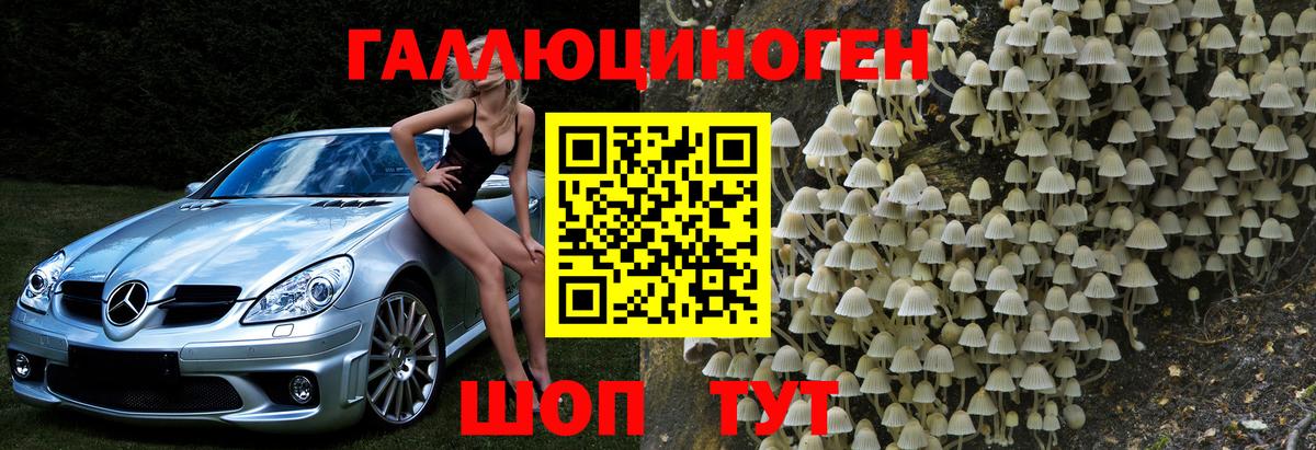 Галлюциногенные грибы Psilocybe  где найти наркотики  Тверь 