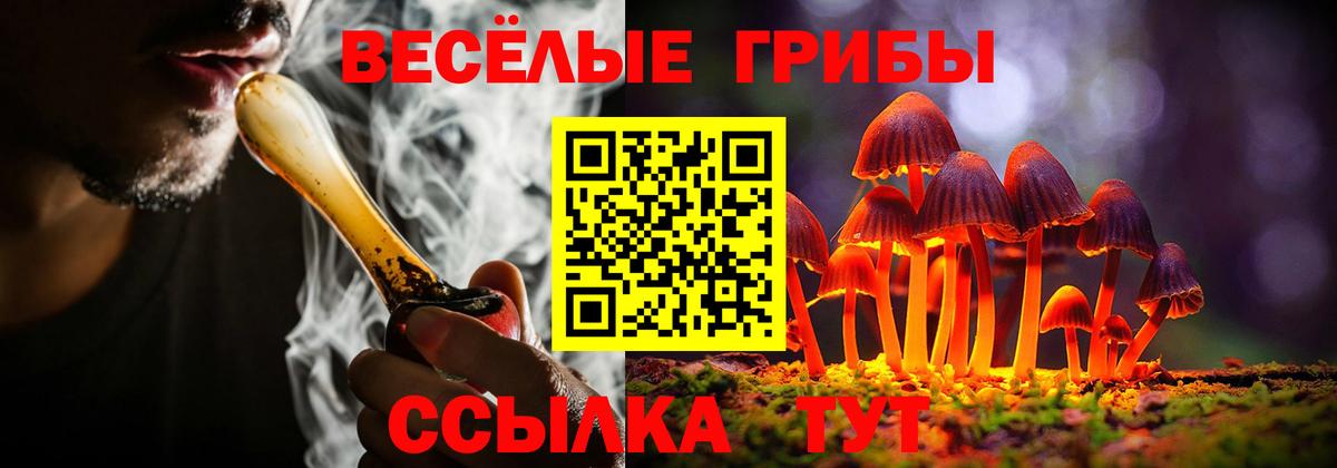 Галлюциногенные грибы MAGIC MUSHROOMS  Вход с VPN  Тверь 